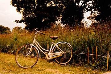 Fototapeta na wymiar vintage bicycle on vintage outdoor park. Old bicycle and the green plants. Vintage Bicycle with flowers on summer landscape background