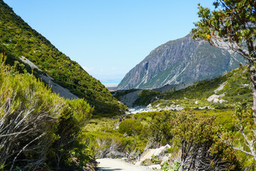 Hooker Valley track winding through alpine vegetation between mountain slopes with tourists enjoying the walk