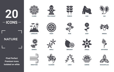 nature icon set. include creative elements as flower, oak, daisy, bergamot, oleander, gerbera filled icons can be used for web design, presentation, report and diagram