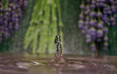 Water drop with lavender in background.