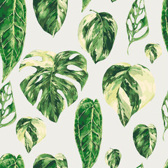 Vector watercolor tropical green leaves seamless pattern. Monstera Variegated greenery texture,