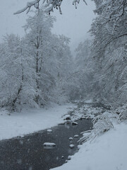 Sadu river flowing through a snow blizzard. All tree branches are covered with thick ice and snow. Winter season, Carpathia, Romania