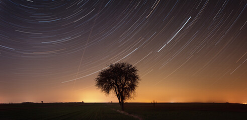 sunset and tree © Sieku Photo