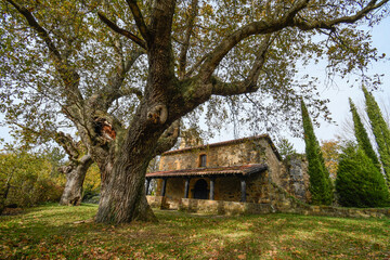 Fototapeta na wymiar Hermitage of Concejuelo in Galdames, next to its centenary oaks