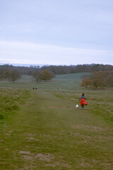 Walkers around Petworth Park, West Sussex, England, UK