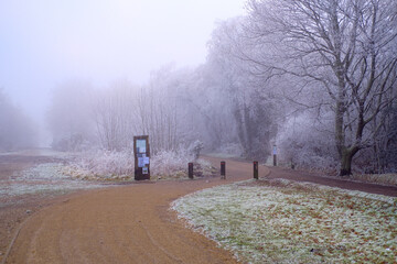 Hoar frost on Hindhead Common