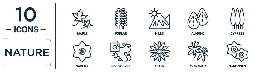 Fototapeta premium nature linear icon set. includes thin line maple, hills, cypress, eco socket, astrantia, narcissus, sakura icons for report, presentation, diagram, web design
