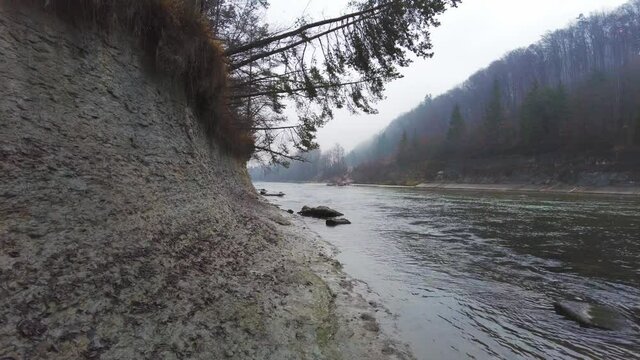 rio grande con arboles caidos en un acantilado 