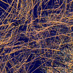 Pink Tree Template. Blue Organic Banner. Orange Modern Image. Night Luxury Print. Trendy Pattern. Azure Wedding Background. Cactus Postcard. Abstract Design