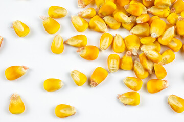 yellow corn seeds on a white background