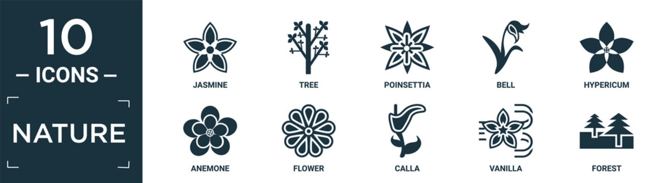 filled nature icon set. contain flat jasmine, tree, poinsettia, bell, hypericum, anemone, flower, calla, vanilla, forest icons in editable format..