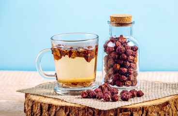 Dried Crataegus curvisepala Crataegus monogyna, Crataegus rhipidophylla known as common hawthorn or single-seeded hawthorn berries herbal tea for medicinal purposes, blue studio background.