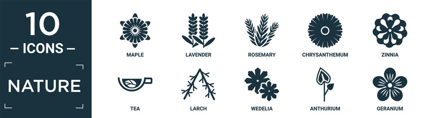 filled nature icon set. contain flat maple, lavender, rosemary, chrysanthemum, zinnia, tea, larch, wedelia, anthurium, geranium icons in editable format.. - obrazy, fototapety, plakaty