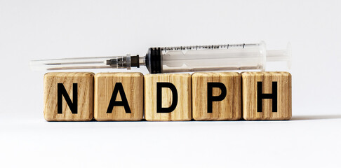 Text NADPH made from wooden cubes. White background