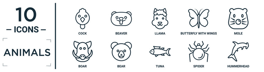 animals linear icon set. includes thin line cock, llama, mole, bear, spider, hummerhead, boar icons for report, presentation, diagram, web design