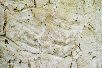 Texture of a concrete wall with cracks and scratches which can be used as a background