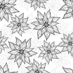 Seamless Merry Christmas pattern. Poinsettia in doodle line style on white background.
