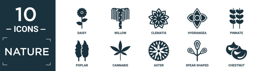 filled nature icon set. contain flat daisy, willow, clematis, hydrangea, pinnate, poplar, cannabis, aster, spear shaped, chestnut icons in editable format..