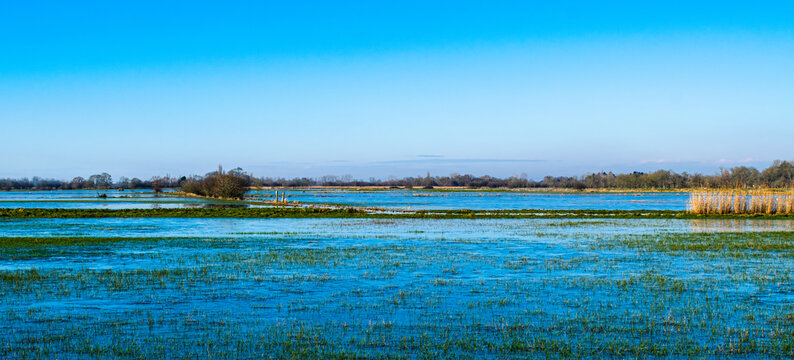 January 2021, the marshes are frozen, not far from Challans, by a superb day in Vend&eacute;e, France.