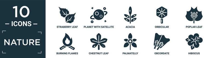 filled nature icon set. contain flat straberry leaf, planet with satellite, acacia, orbicular, poplar leaf, burning flames, chestnut leaf, palmatelly, obcordate, hibiscus icons in editable format..