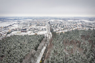 Aerial view of the pine forest covered with fresh snow
