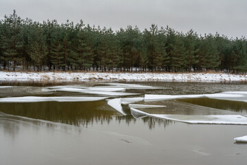 Winter landscape with a forest lake and a mysterious foggy forest. A secluded lake in the middle of a forest with blocks of ice and old dry grass.
