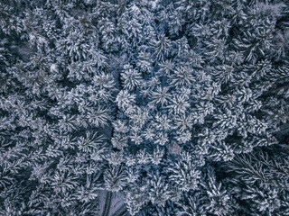 Winter von Oben