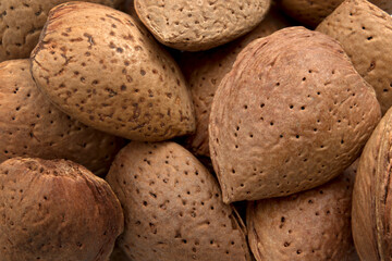 Protein rich vegetarian food, harvest abundance and agricultural backgrounds concept with full frame close up of many unpeeled raw almonds protected in hard shell