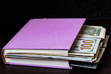 dollar banknotes in violet book