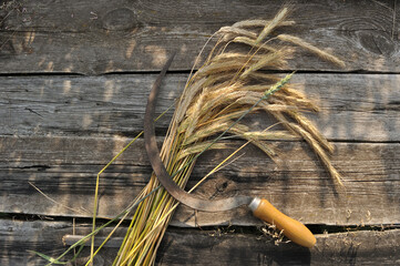 reaping hook and harvest