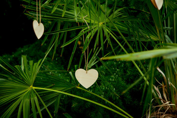 toy wooden heart, hanging on a palm tree