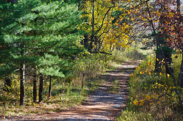 553-44 Restoration Area, Indiana Dunes National Lakeshore