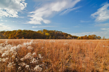 553-71 Fall Grasslands, West Beach, Indiana Dunes National Lakeshore