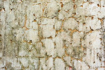 Texture of a concrete wall with cracks and scratches which can be used as a background