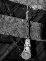 rain drops on the window