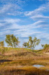 Fototapeta premium 553-77 Early Fall in the Dunes