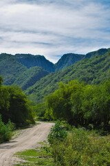 mountain road in the mountains