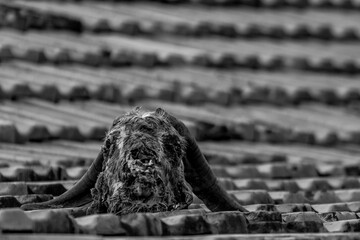 person sitting on the bench