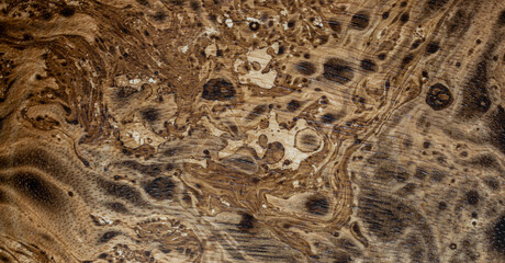 texture of brown wood plank. background of wooden surface	
