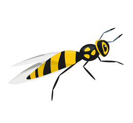 wasp in flat cartoon style on isolated background in flat style.  vector illustration.