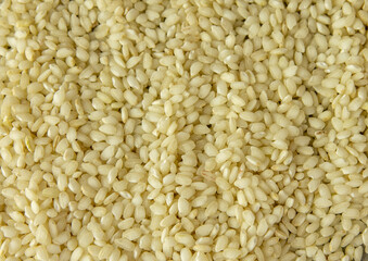 white rice raw Italian rice grains as background