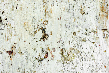 Texture of a concrete wall with cracks and scratches which can be used as a background