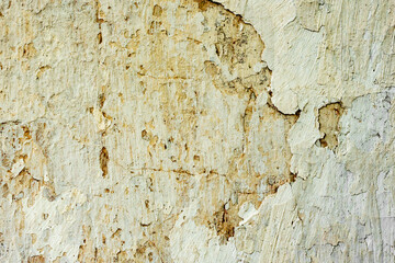 Texture of a concrete wall with cracks and scratches which can be used as a background