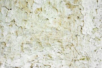 Texture of a concrete wall with cracks and scratches which can be used as a background