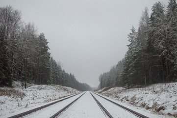 Obraz premium Magic forests and swamps in Lithuania 