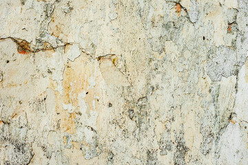Texture of a concrete wall with cracks and scratches which can be used as a background