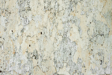Texture of a concrete wall with cracks and scratches which can be used as a background