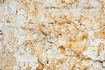 Texture of a brick wall with cracks and scratches which can be used as a background