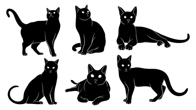 hand drawn silhouette of cats
