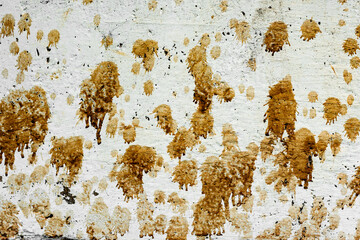 Texture of a concrete wall with cracks and scratches which can be used as a background